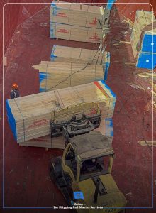 WhatsApp Image 2025-12-01 at 12.13.54 PM (2)