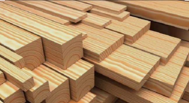 WhatsApp Image 2025-12-14 at 4.41.58 PM (2)