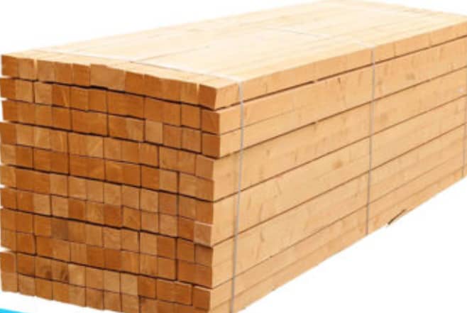 WhatsApp Image 2025-12-14 at 4.41.58 PM