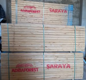 WhatsApp Image 2025-12-14 at 4.41.59 PM (1)